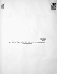 Image of Coniocarpon fallax